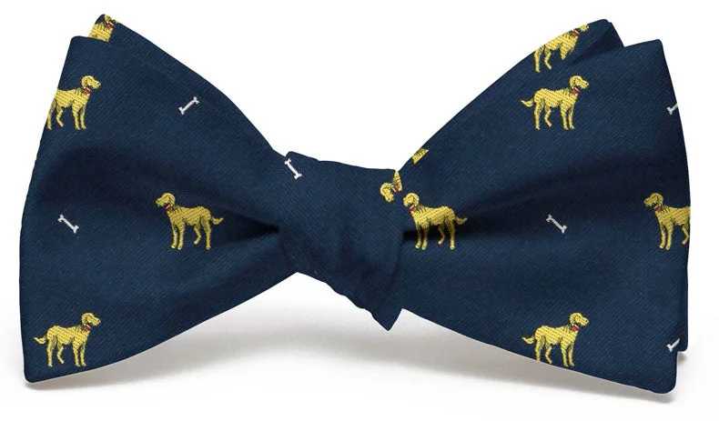 Doggone: Bow Tie - Navy