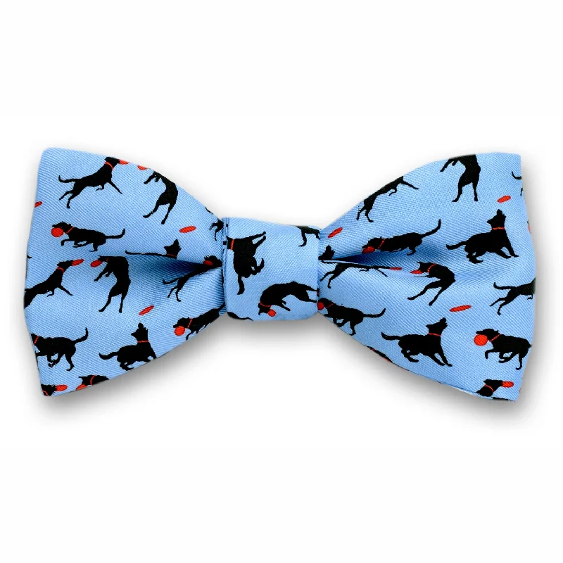 Disc Dog Bow Tie