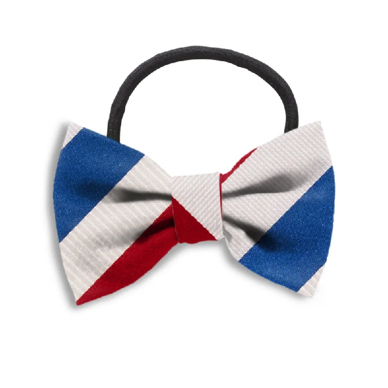 Potomac River - Hair Bows