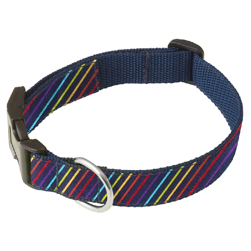 Rainbow River - Dog Collar