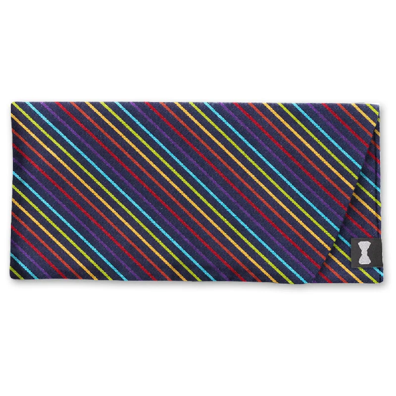 Rainbow River - Eyeglass Cases